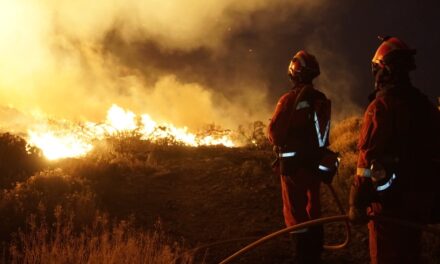 Branden på Teneriffa: Katastrofzon förväntas utlysas