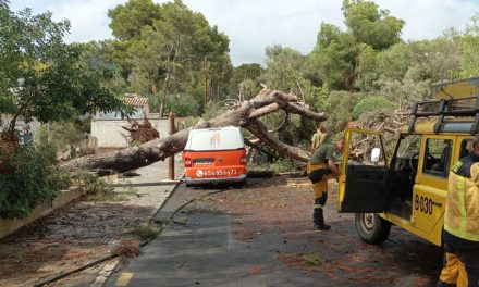 Orkanvindar drog in över Mallorca orsakade hundratals incidenter