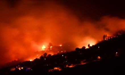 Tusentals evakuerade vid ännu en brand på Teneriffa