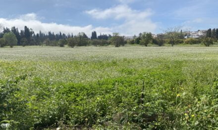 Hej Läsare: Naturens vackra skådespel