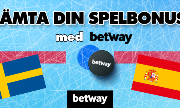 Stöd vårt nationella ishockeylag!!