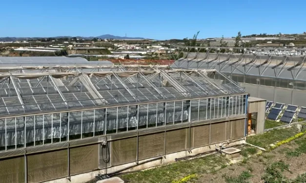 Forskningsstationen IHSM La Mayora i Algarrobo håller öppet hus