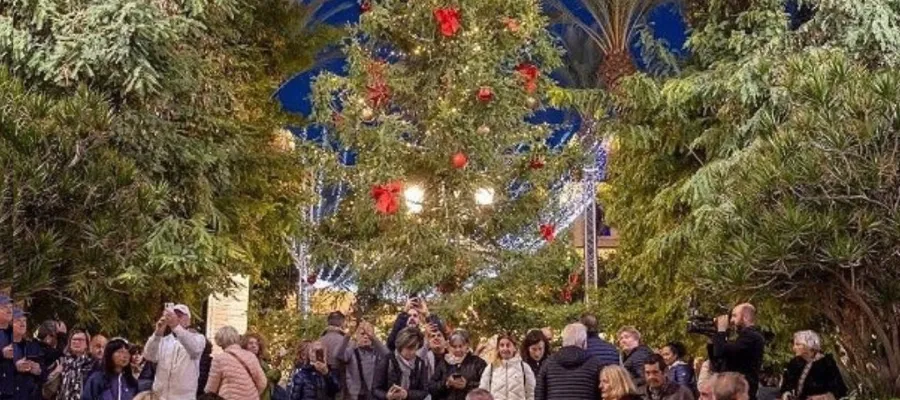 På söndag tänds Torreviejas julgran från Sverige