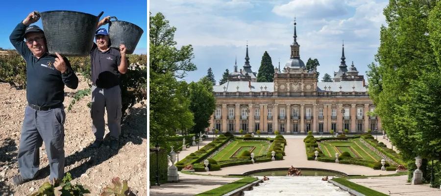 Härligt inspirerande vinresa till Spaniens fyra bästa distrikt