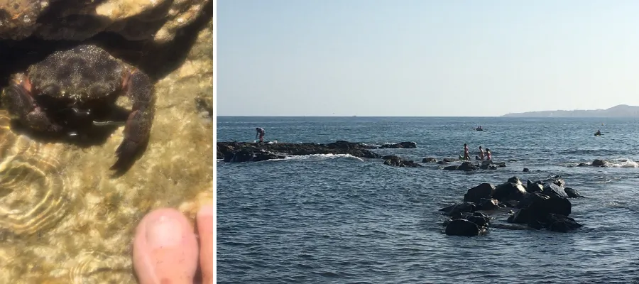 Rekordvarmt i havet