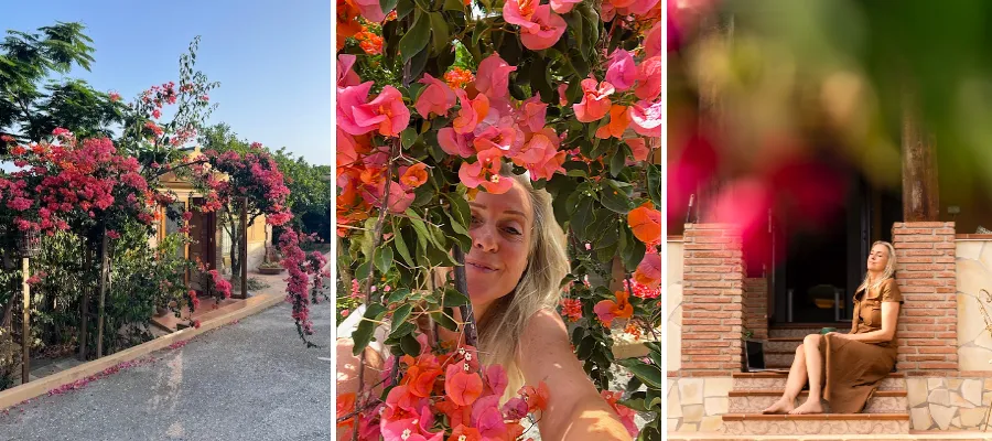 Där glädjen bor – en sommaruppgift
