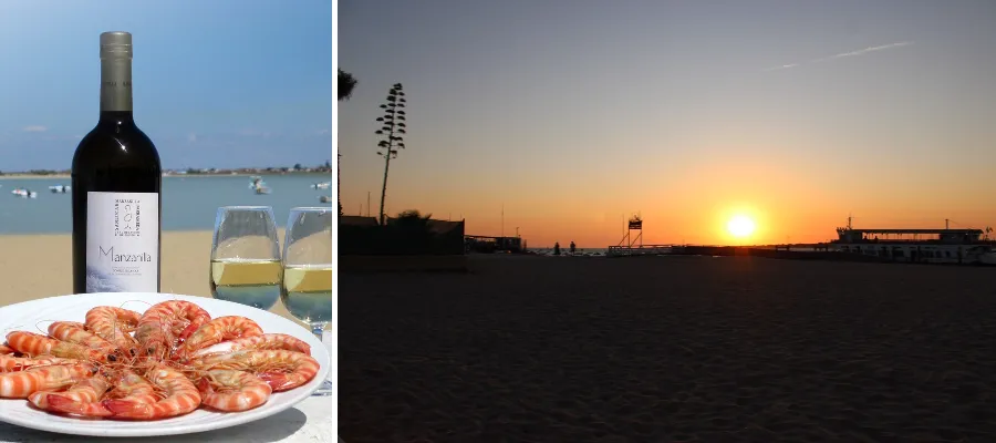 Fredagsvinet: Manzanilla i Sherrytriangeln