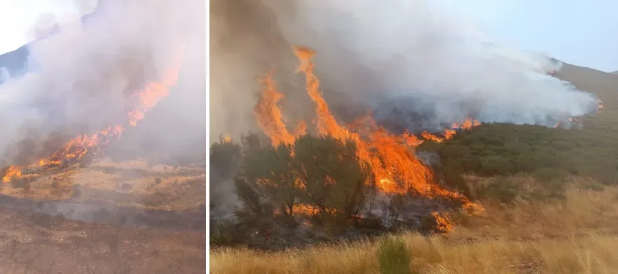 Málaga och Marbella skickar brandmän till Ourense