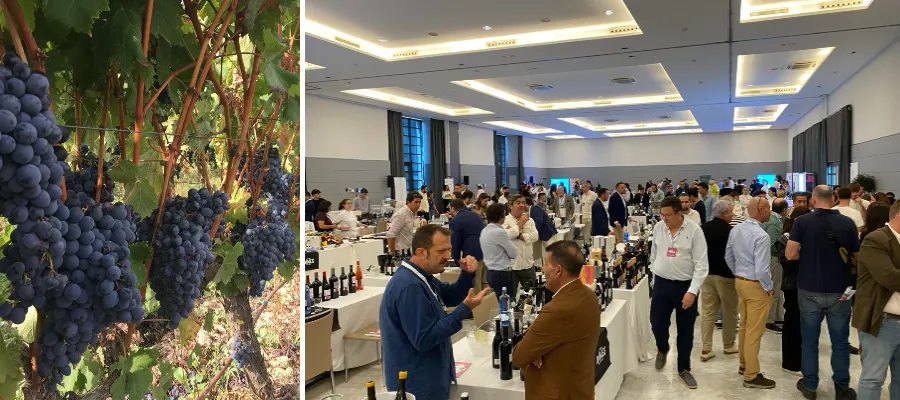 Sköna upplevelser från vinmässsa