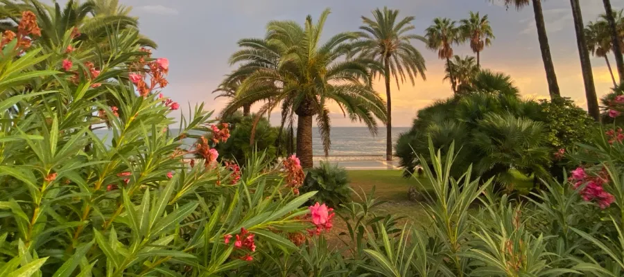 Hösten är här – men det betyder inte att vi ska gå i ide!