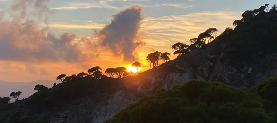 Natur och friluftsliv: Upplev skönheten på nära håll