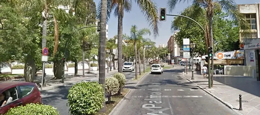 Kvinna död efter att ha fått palm över sig