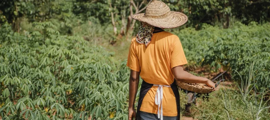 Ja till papperslösa på grund av medmänsklighet eller behov?