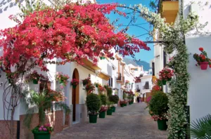 Blommor på vägg i Estepona