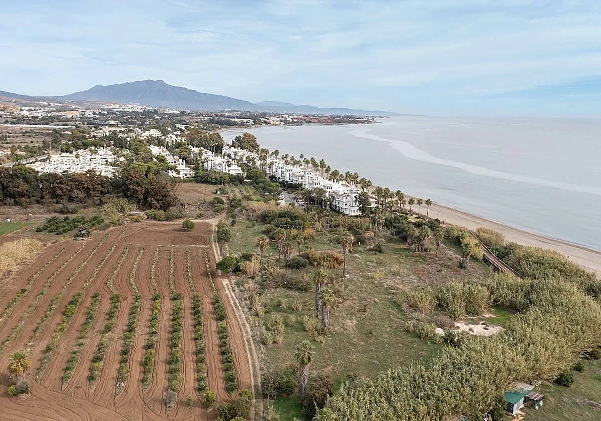 Avsaltningsanläggningen vid floden río Castor ett prioriterat projekt. (Foto: Estepona kommun)